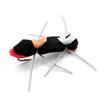 chernobyl ant